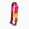 ZeeDog Collar Selva para perros 2