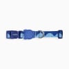 ZeeDog Collar Swell para perros 2