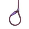 ZeeDog Correa Cosmo Slip on Leash 3