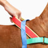 ZeeDog Softer Walk Harness Mellow arnés anti-tirones para perros 4