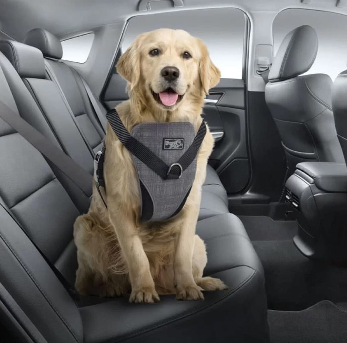 Arnés de seguridad para transportar perros All For Paws 1