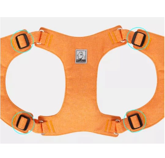 True Love Arnés Pechera Liviana EcoFriendly Naranjo3