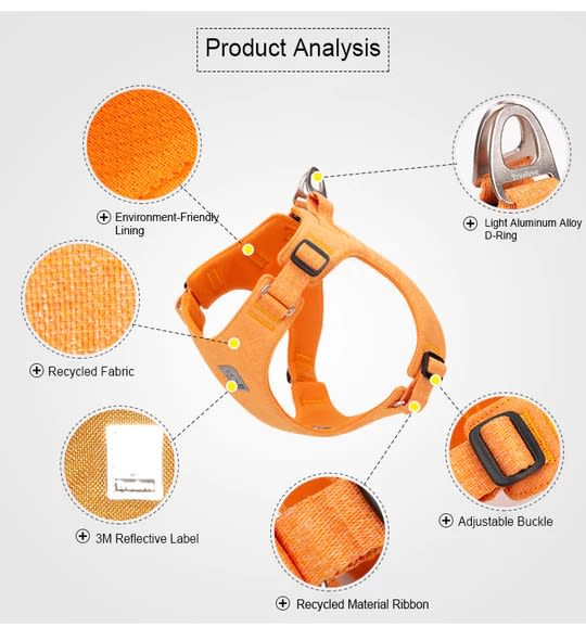 True Love Arnés Pechera Liviana EcoFriendly Azul2