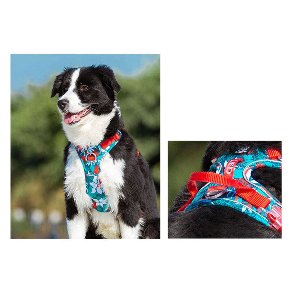 True Love Arnés Antitirones Ergonómico Camouflage Blue Red para perros.4