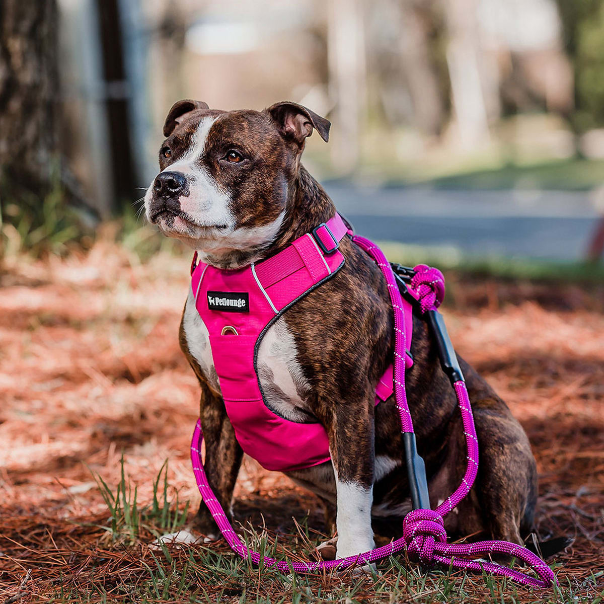 Petlounge arnés Outdoor rosado3
