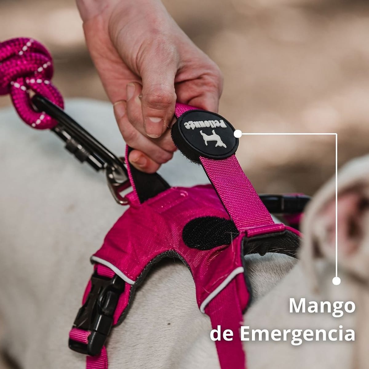 Petlounge arnés Outdoor rosado5
