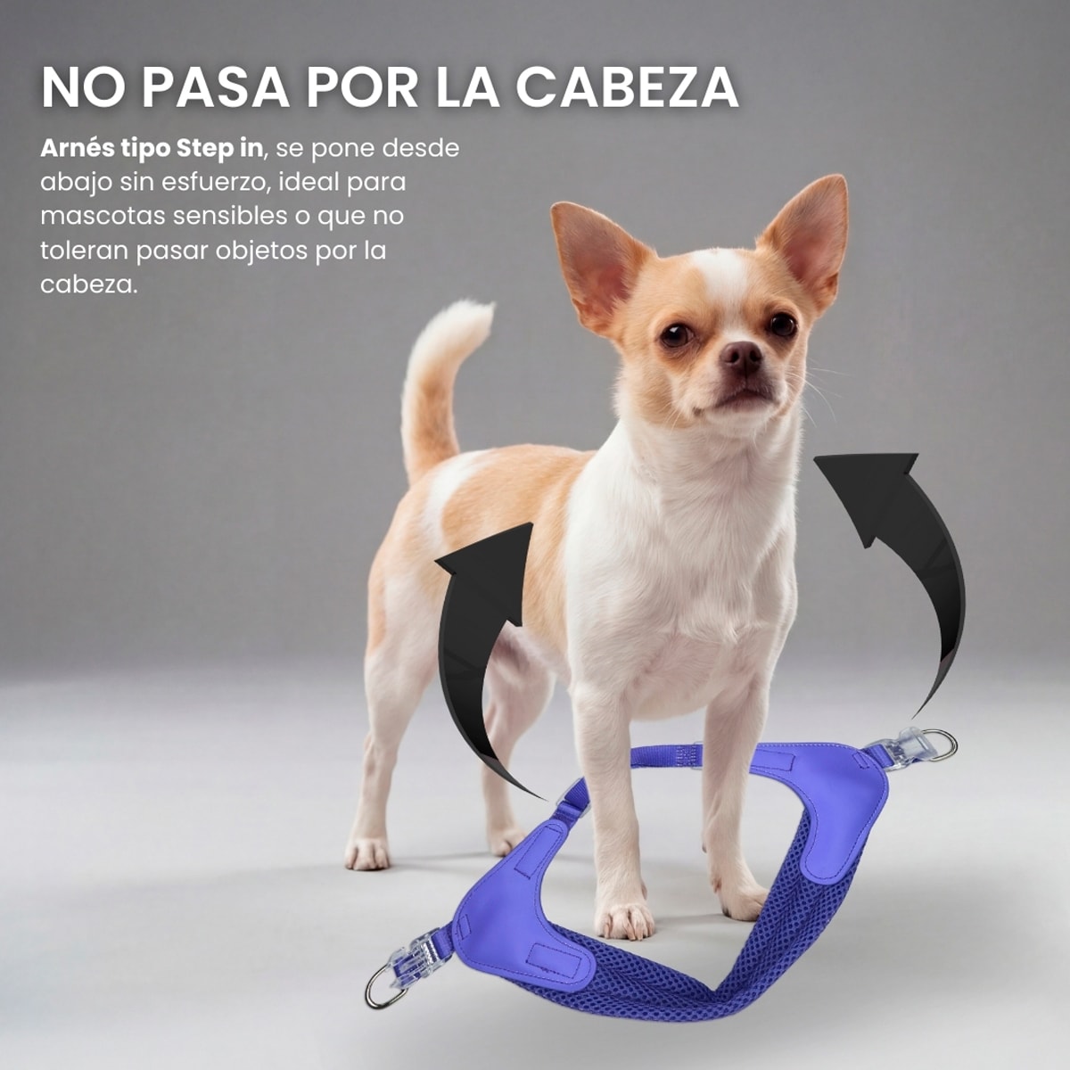 Arnés Easy Glam morado para Perros de Petlounge3
