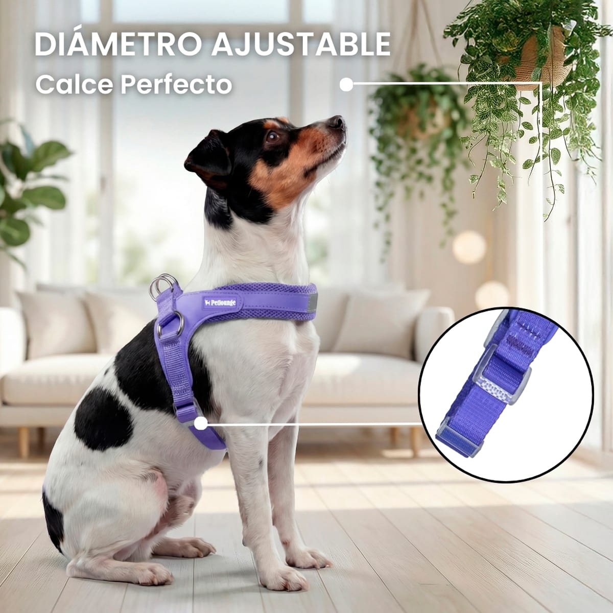 Petlounge Arnés Easy Glam morado para perros4