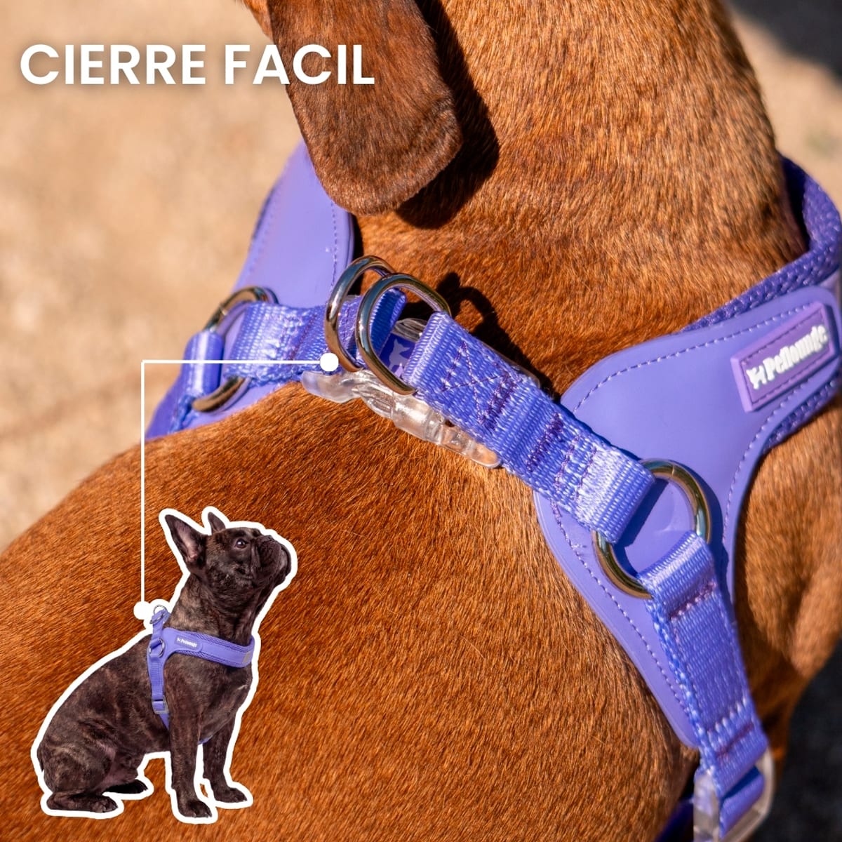 Petlounge Arnés Easy Glam morado para perros7