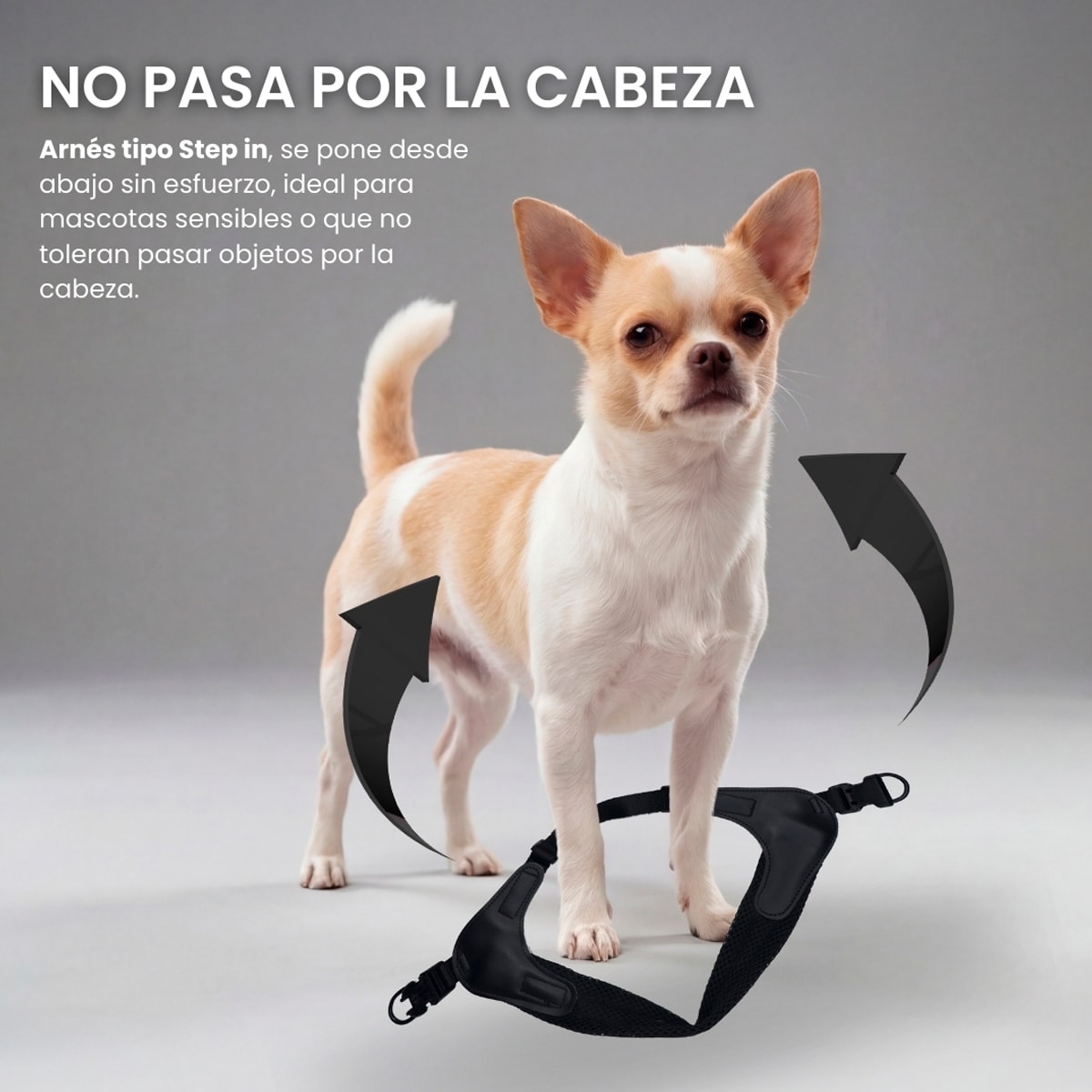 Arnés Easy Glam negro para Perros de Petlounge3