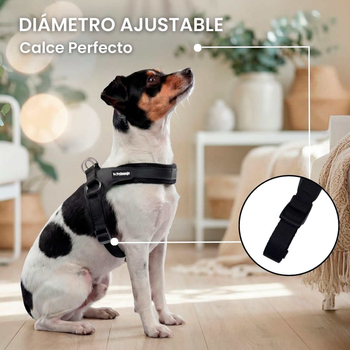Arnés Easy Glam negro para Perros de Petlounge4