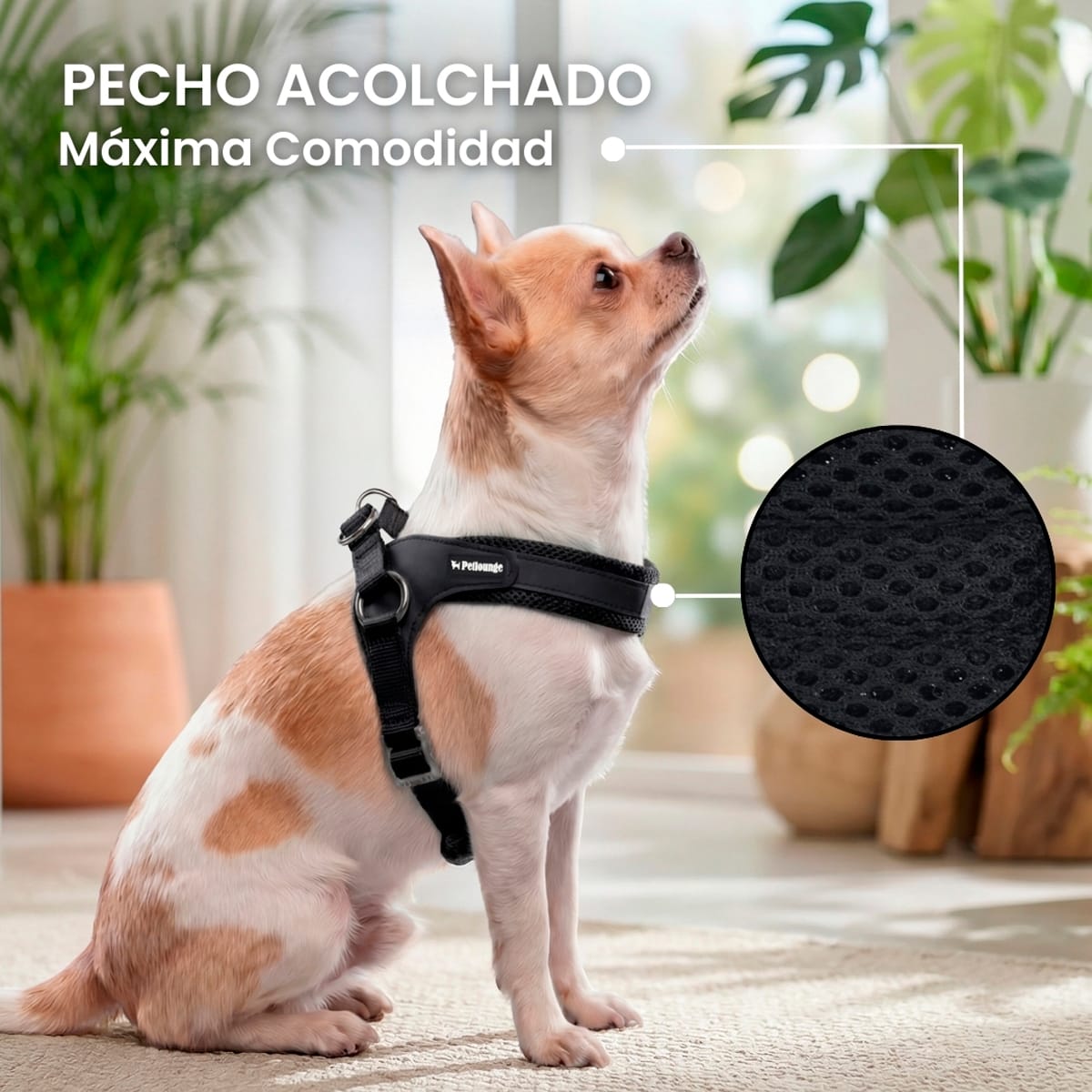 Petlounge Arnés Easy Glam negro para perros5