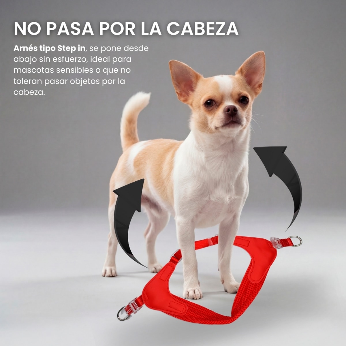 Petlounge Arnés Easy Glam rojo para perros3