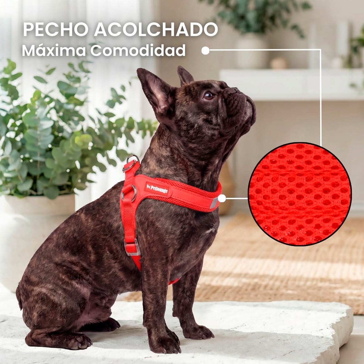 Petlounge Arnés Easy Glam rojo para perros5