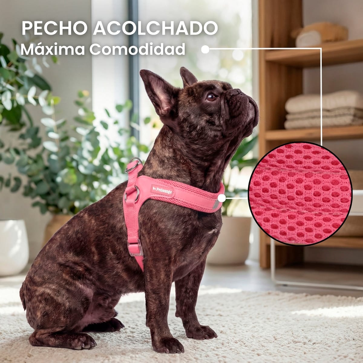 Arnés Easy Glam rosado para Perros de Petlounge5