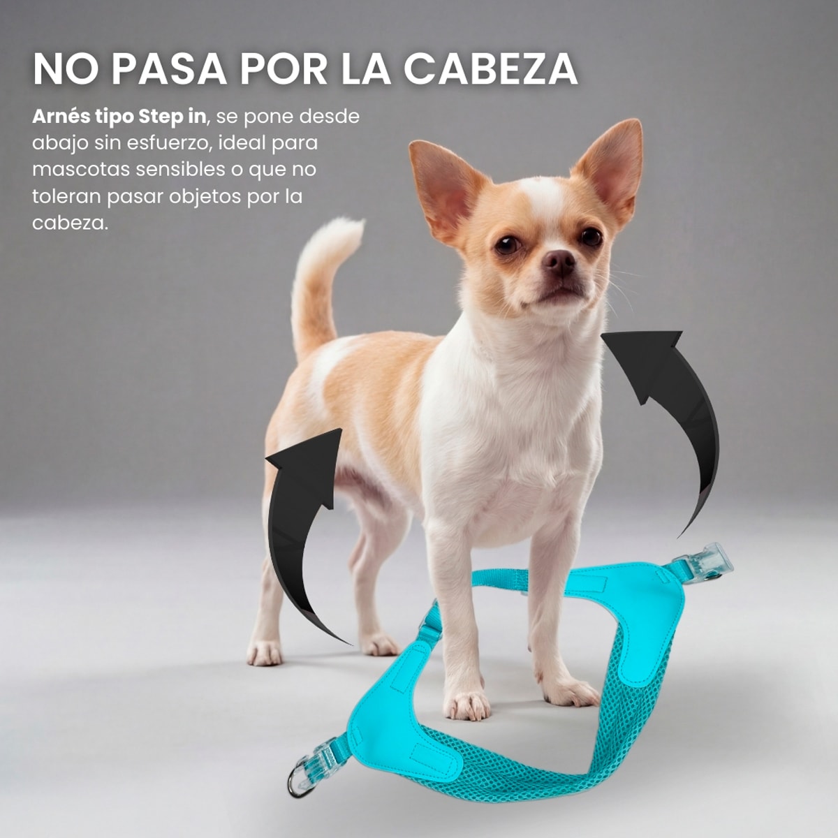 Petlounge Arnés Easy Glam turquesa para perros3