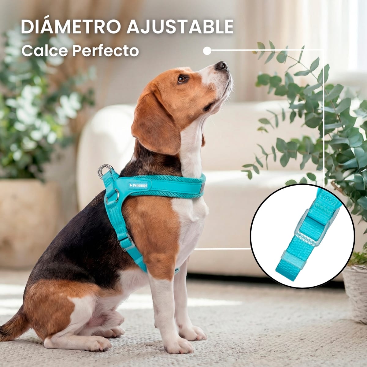 Petlounge Arnés Easy Glam turquesa para perros4