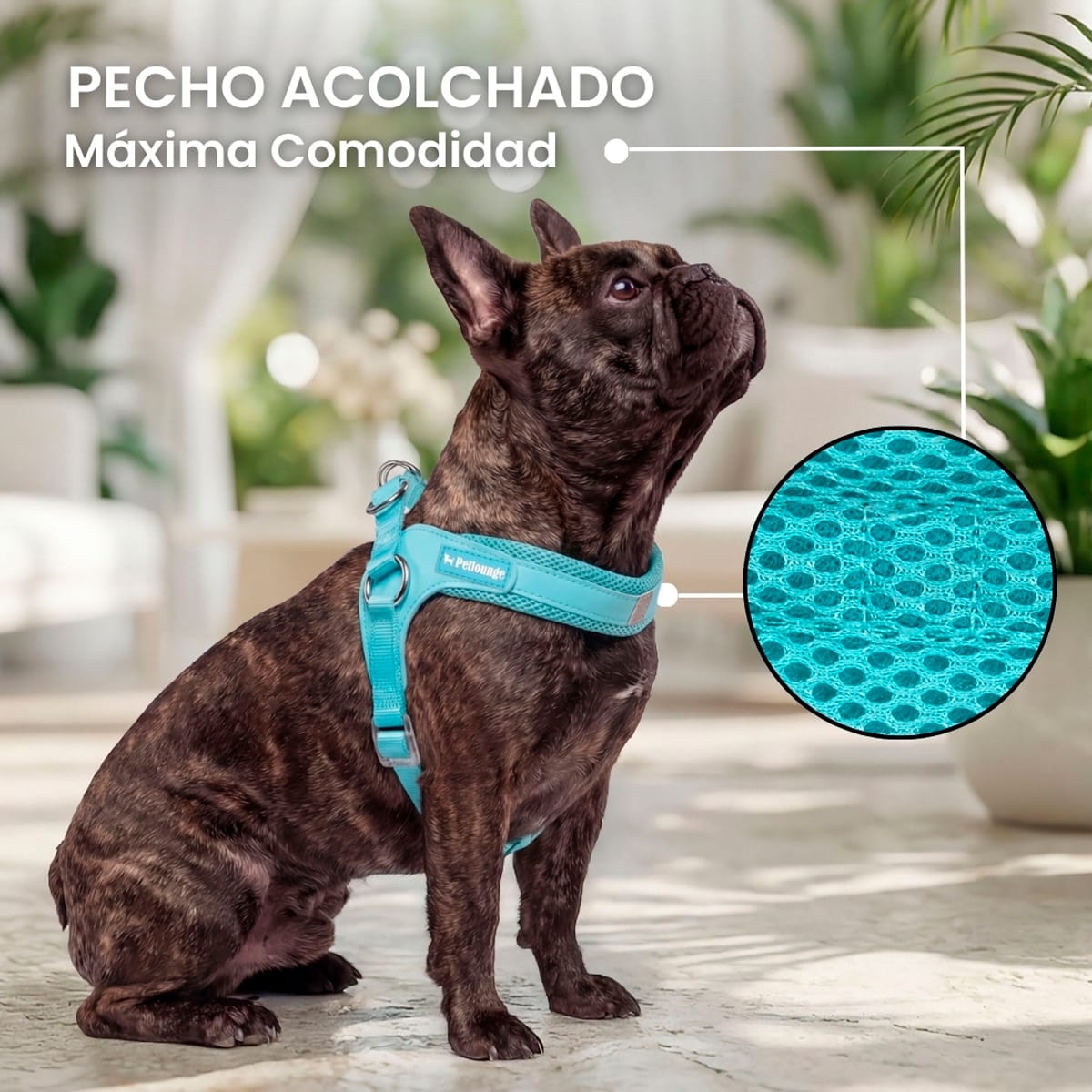 Petlounge Arnés Easy Glam turquesa para perros5