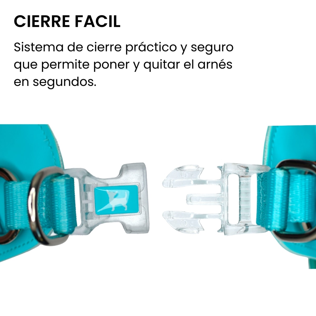 Petlounge Arnés Easy Glam turquesa para perros6
