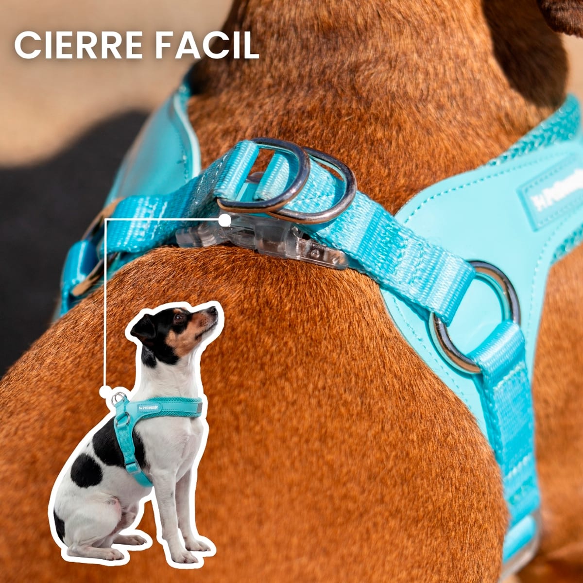 Petlounge Arnés Easy Glam turquesa para perros7