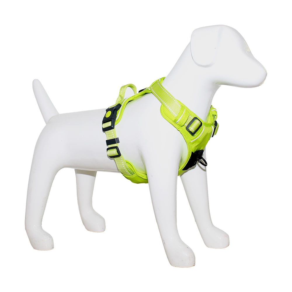 Mascan Arnés Deportivo de Control Verde 1