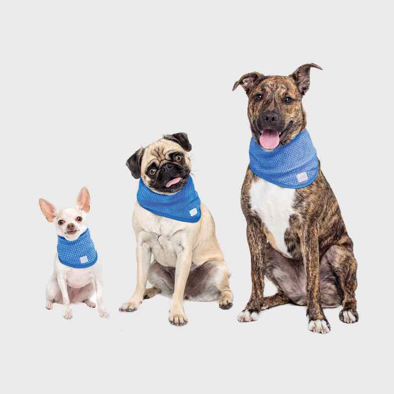 Bandana Refrescante Ice Band Azul3