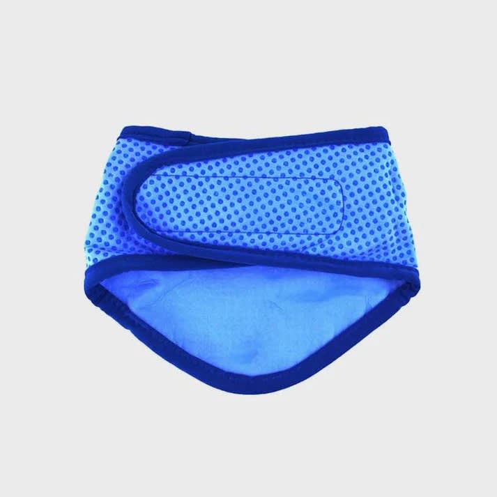 GFPET Bandana Refrescante Ice Band Azul Talla L/XL1
