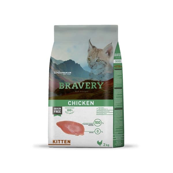 Bravery Chicken Kitten 1