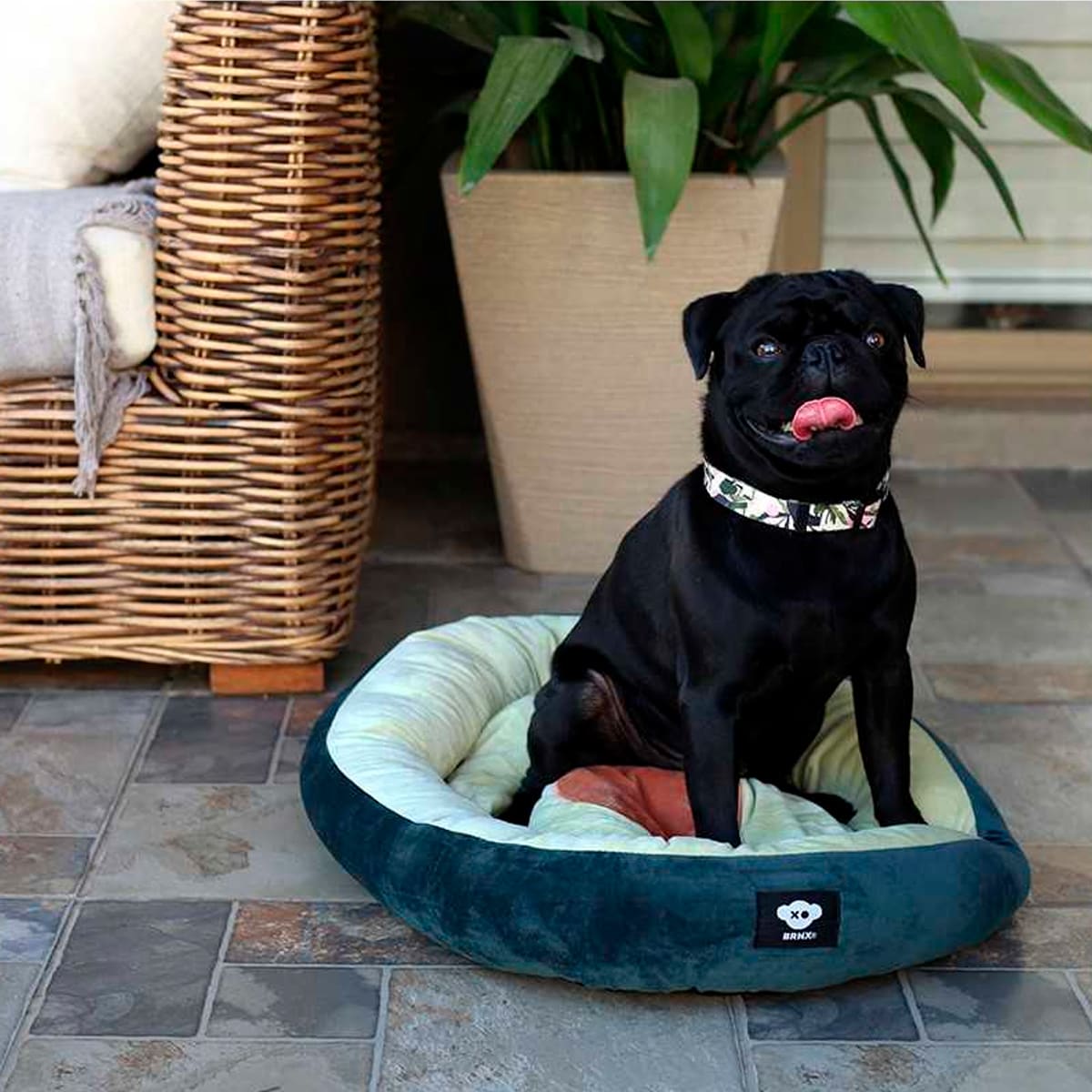 BRNX Cama palta lover mediana para perros y gatos3