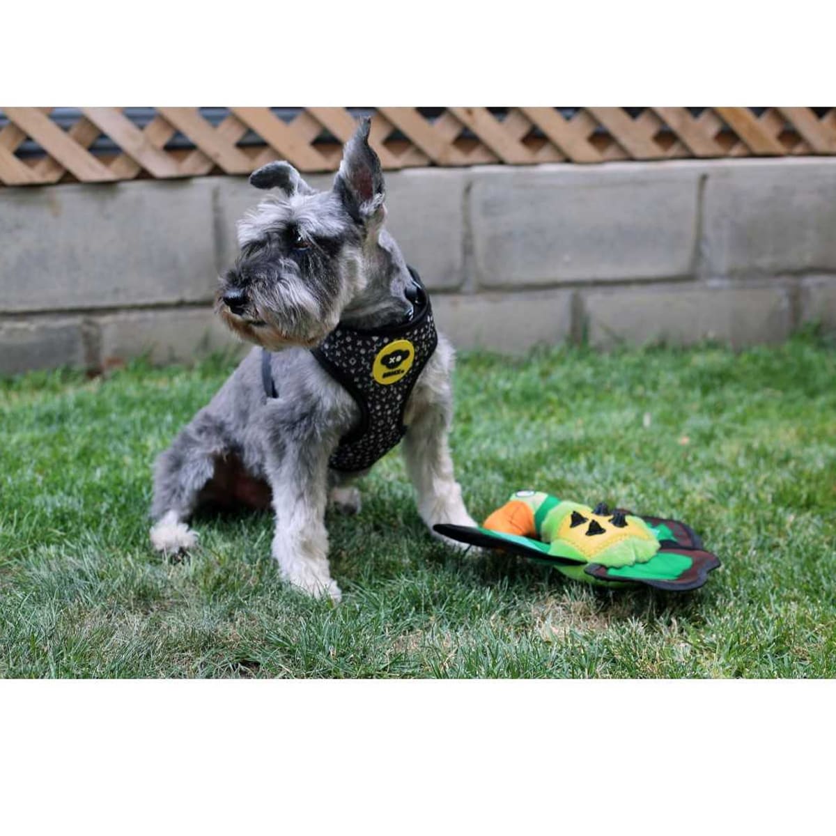 BRNX Loro Textil Repelente al Agua2