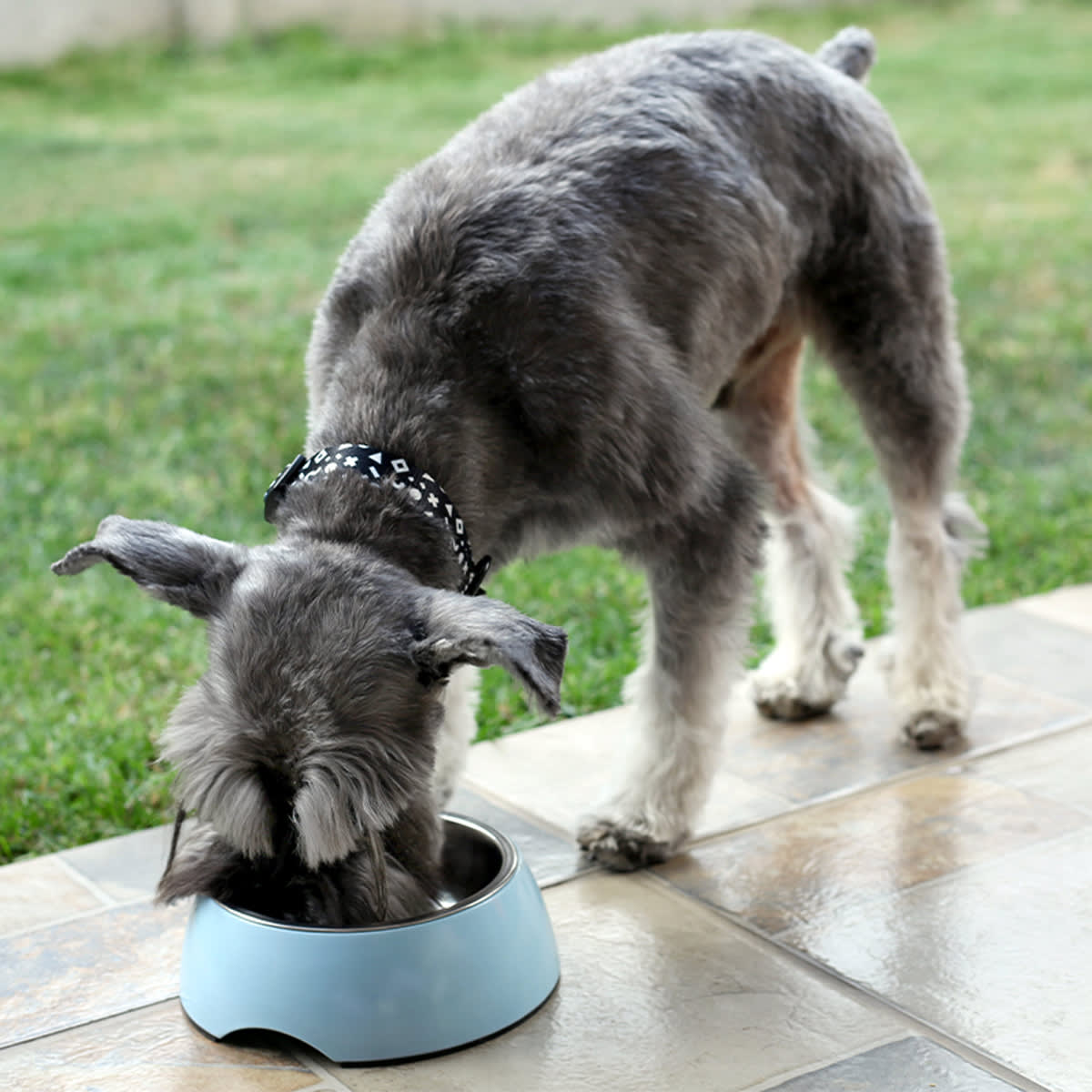 BRNX Plato Melamina + Inox Blanco2