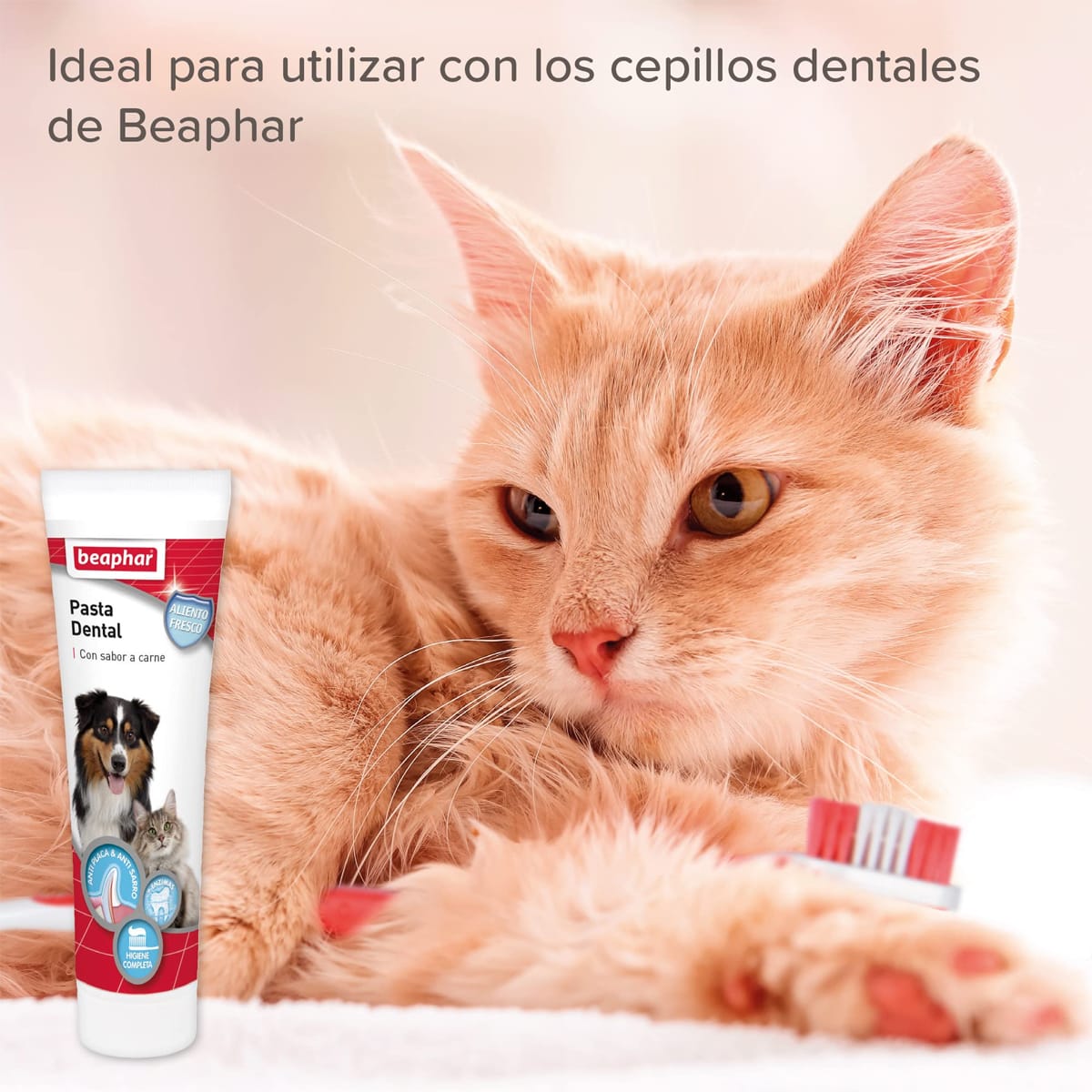 Beaphar Toothbrush Cepillo de dientes doble extremo4