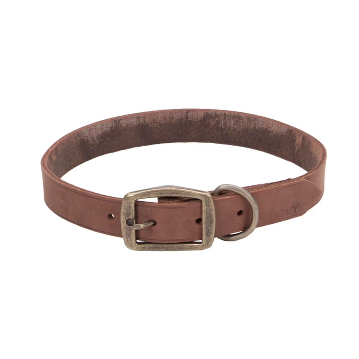Collar de cuero rústico chocolate para perro Coastal Circle-T 1