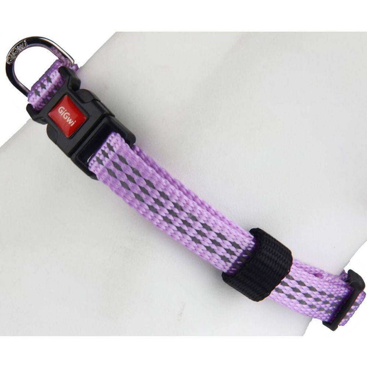 GiGwi Collar Morado 1