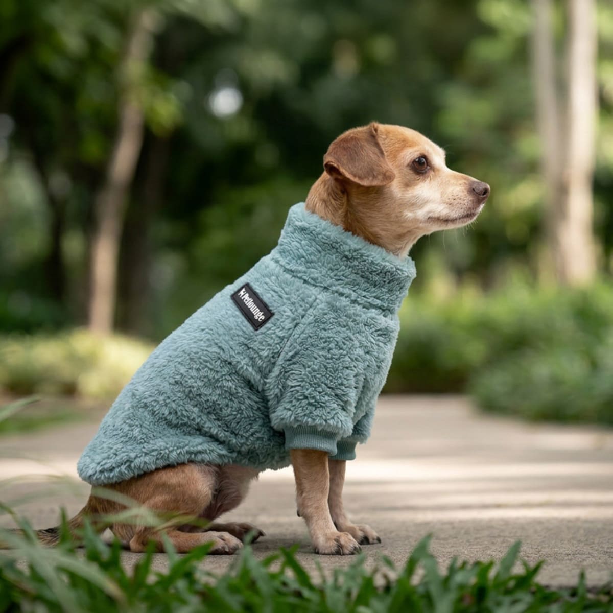 Petlounge Corderito chiporro ultra suave Celeste2