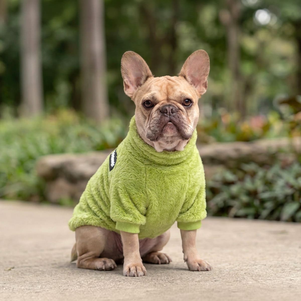 Petlounge Corderito chiporro ultra suave Verde2