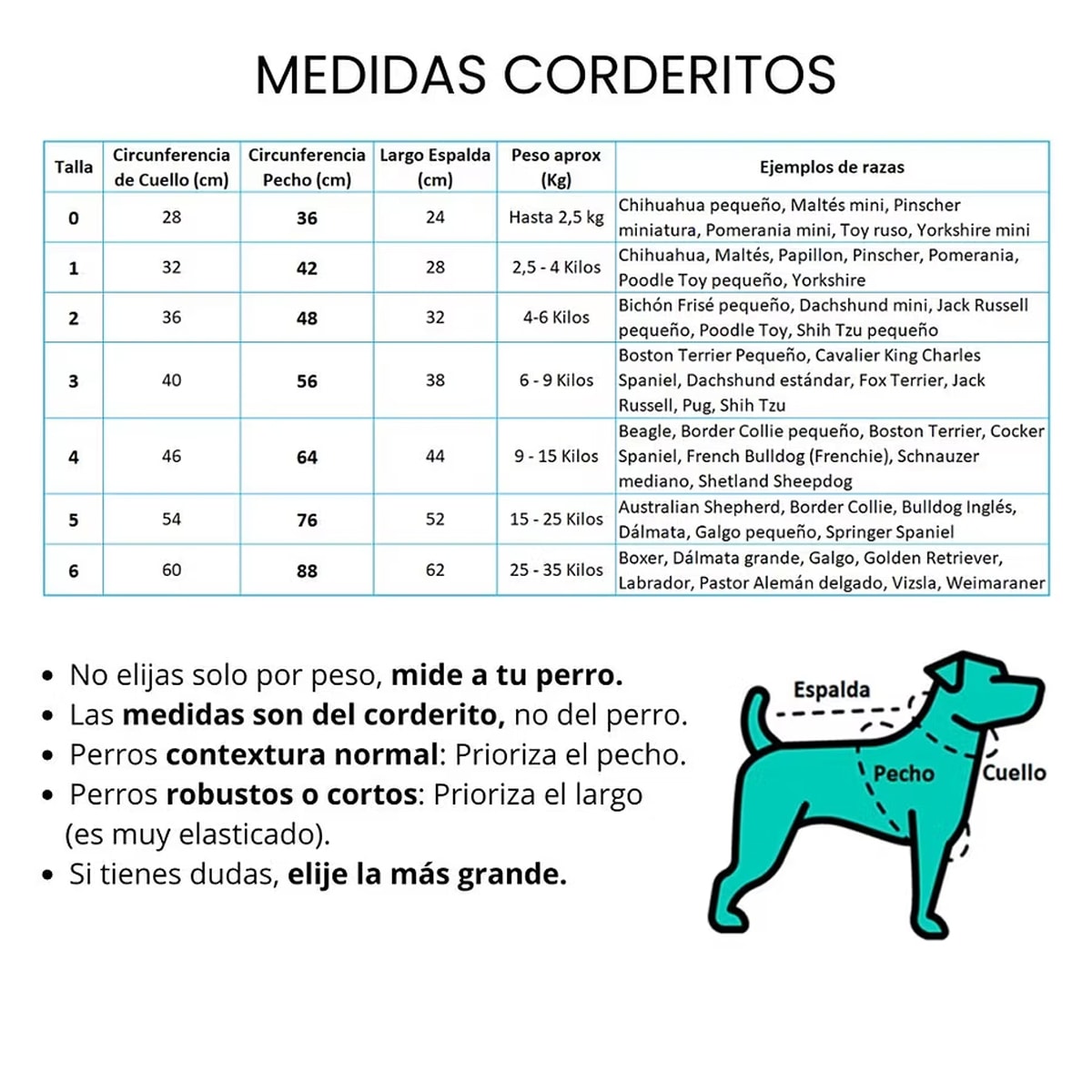 Petlounge Corderito chiporro ultra suave Verde4