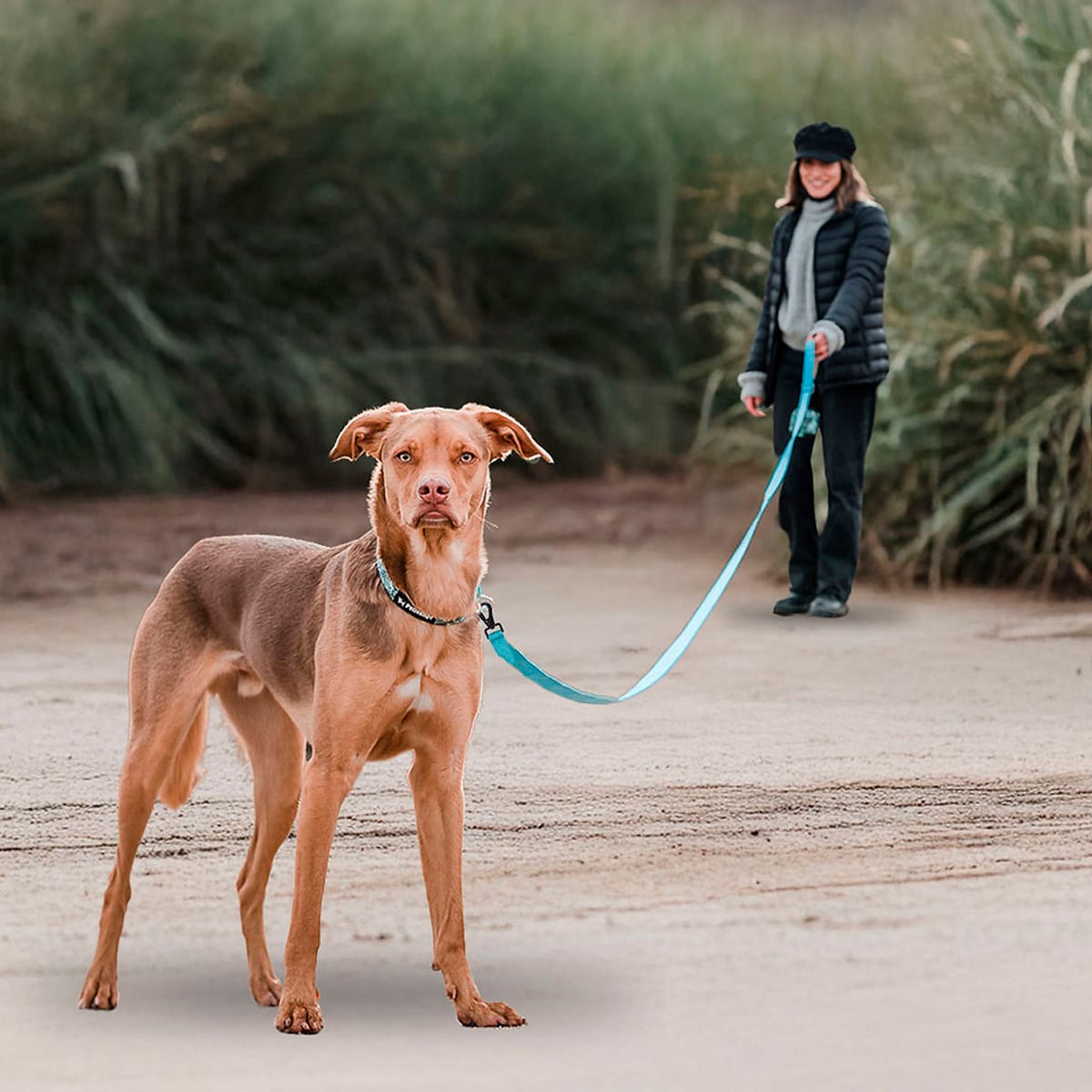 Petlounge Correa larga Power Trail calipso 3 y 5 metros3