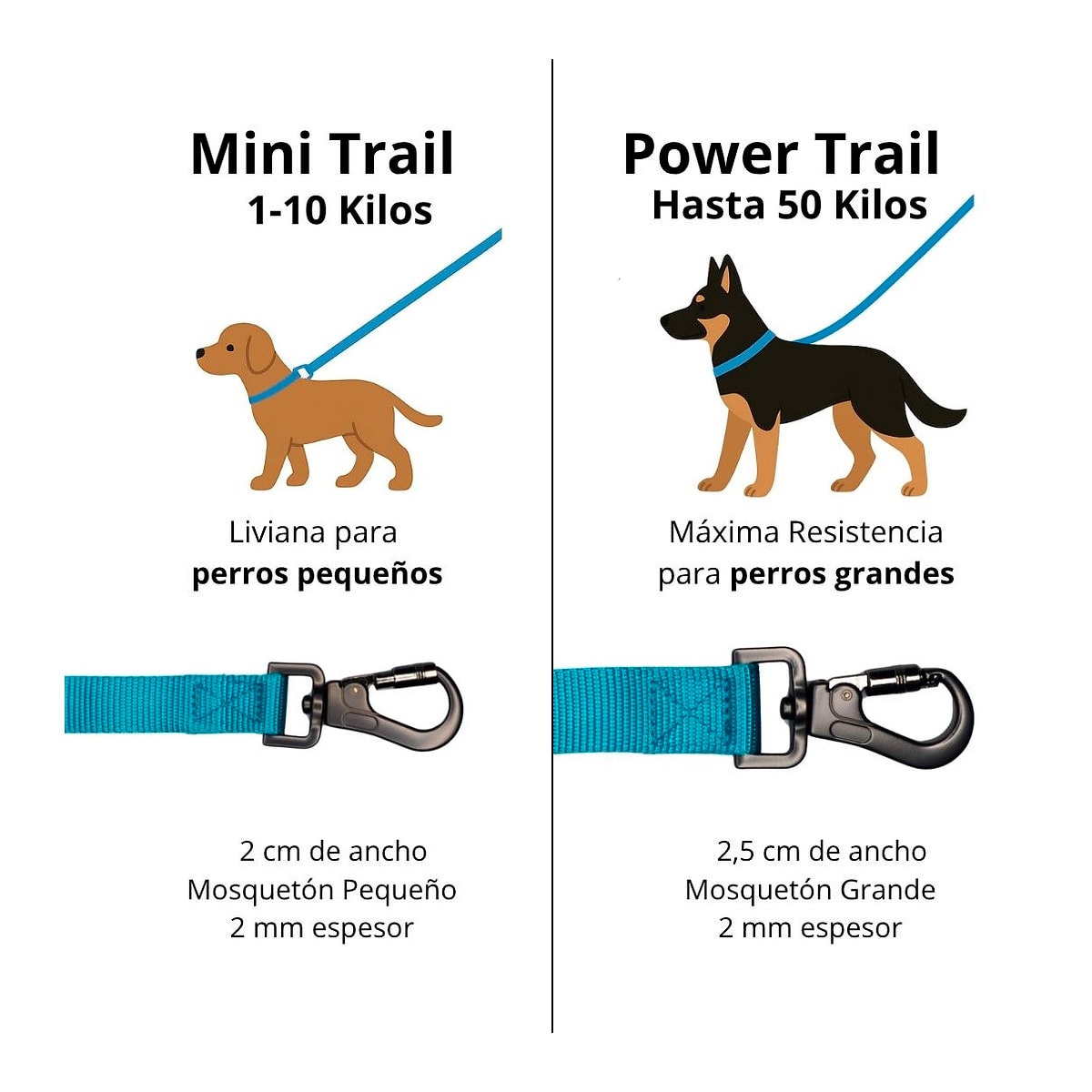 Petlounge Correa larga Power Trail calipso 3 y 5 metros4