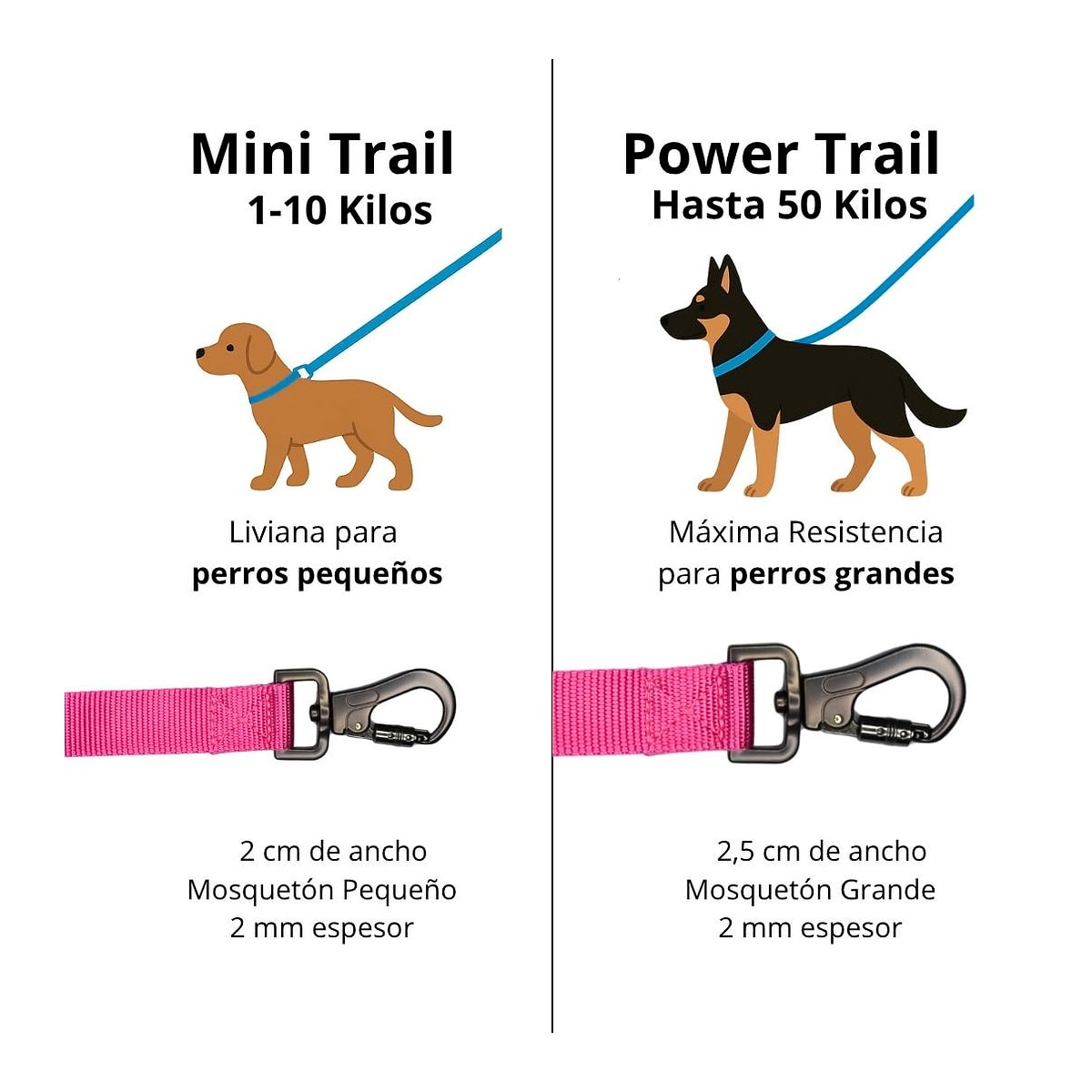 Petlounge Correa larga Power Trail fucsia 3 y 5 metros4