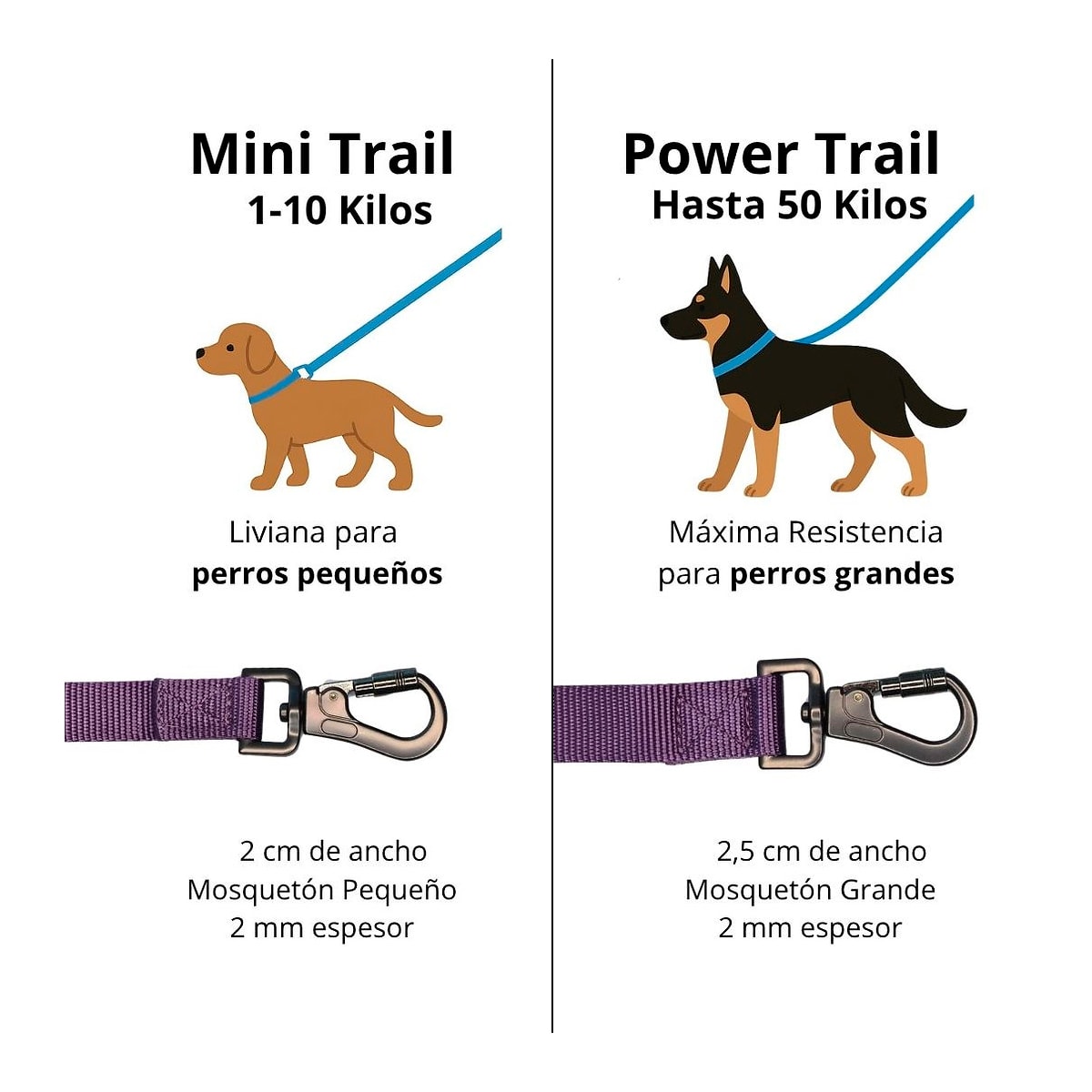 Petlounge Correa larga Power Trail morada 3 metros4