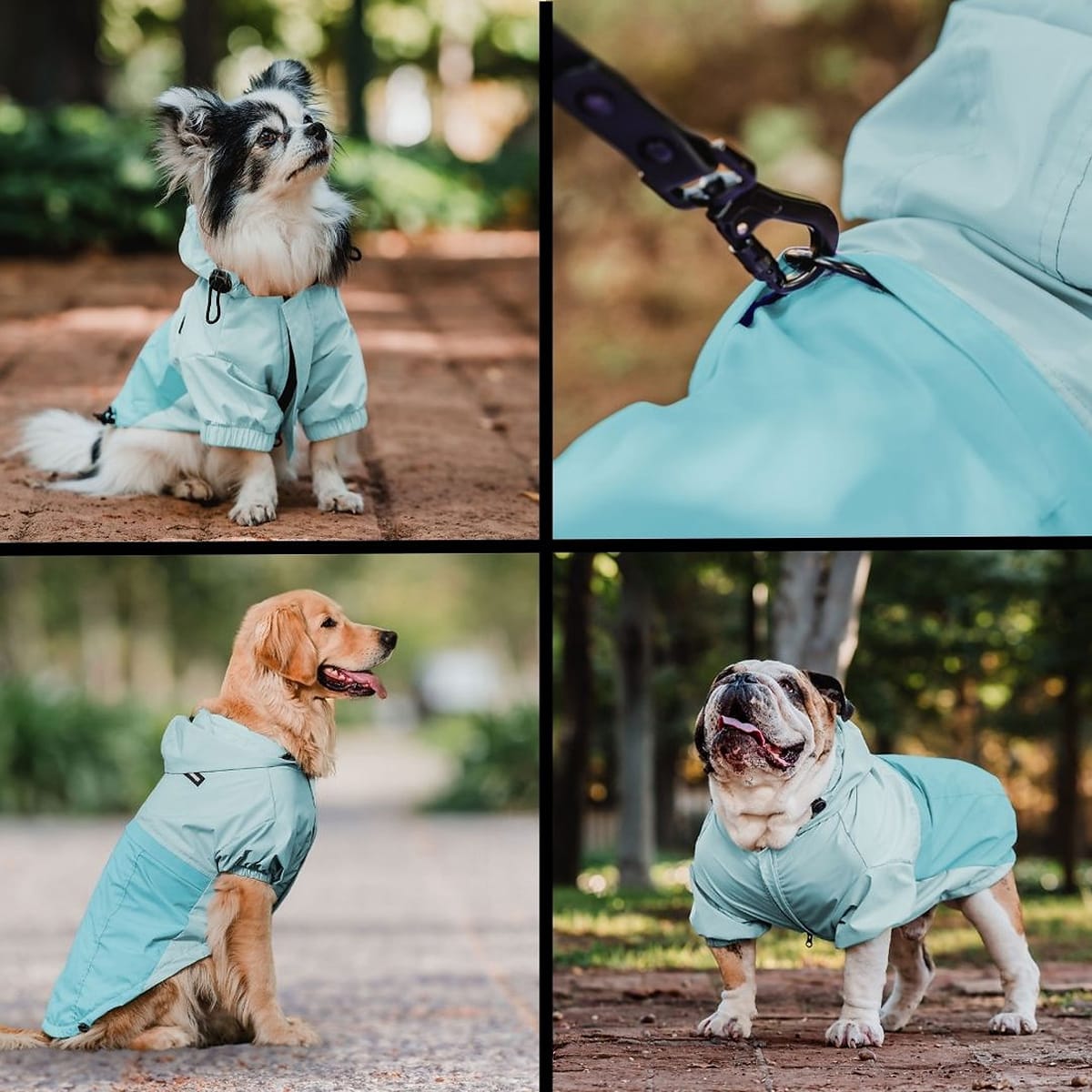 Petlounge cortaviento impermeable HydroLite celeste2