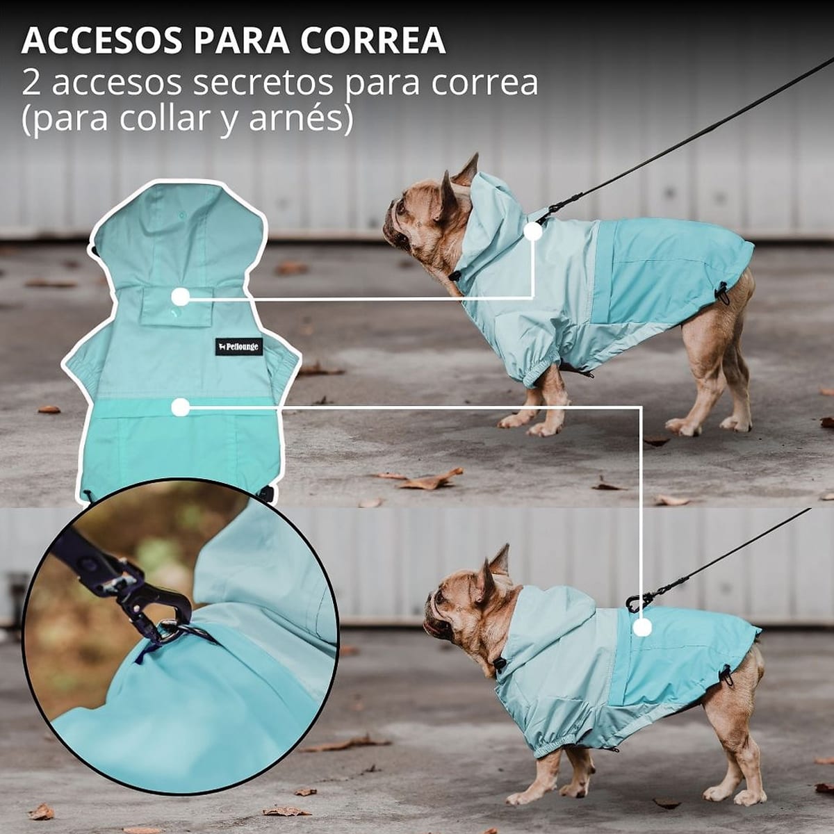 Petlounge cortaviento impermeable HydroLite celeste4