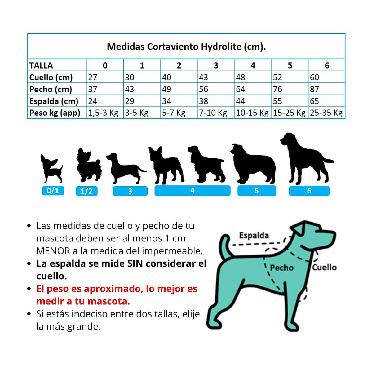Petlounge cortaviento impermeable HydroLite celeste5