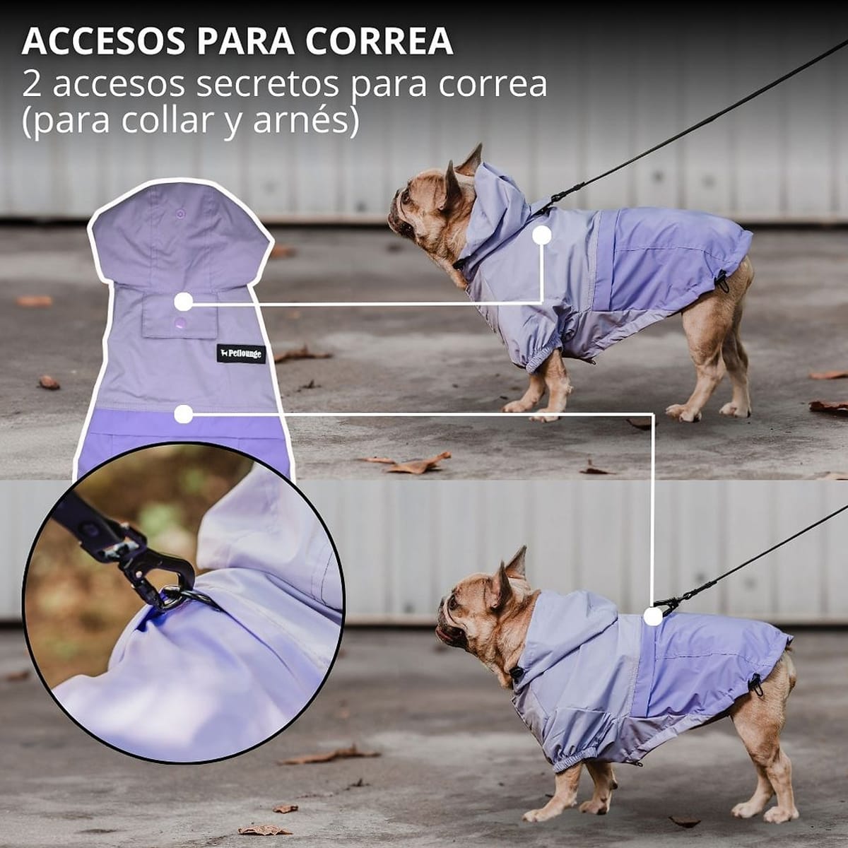 Petlounge cortaviento impermeable HydroLite morado Talla 44