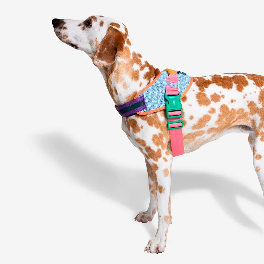 ZeeDog FlyHarness Galaxy para perros2