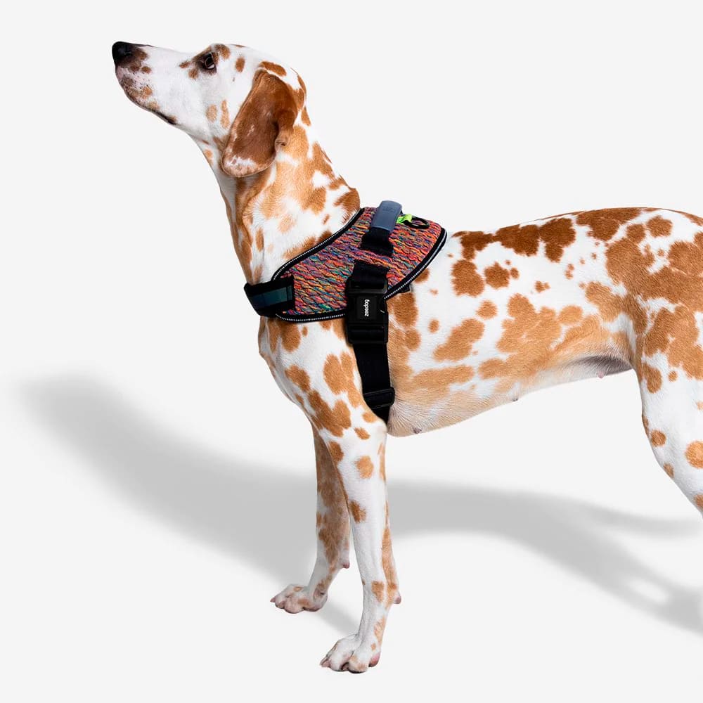 ZeeDog FlyHarness Vortex para perros2