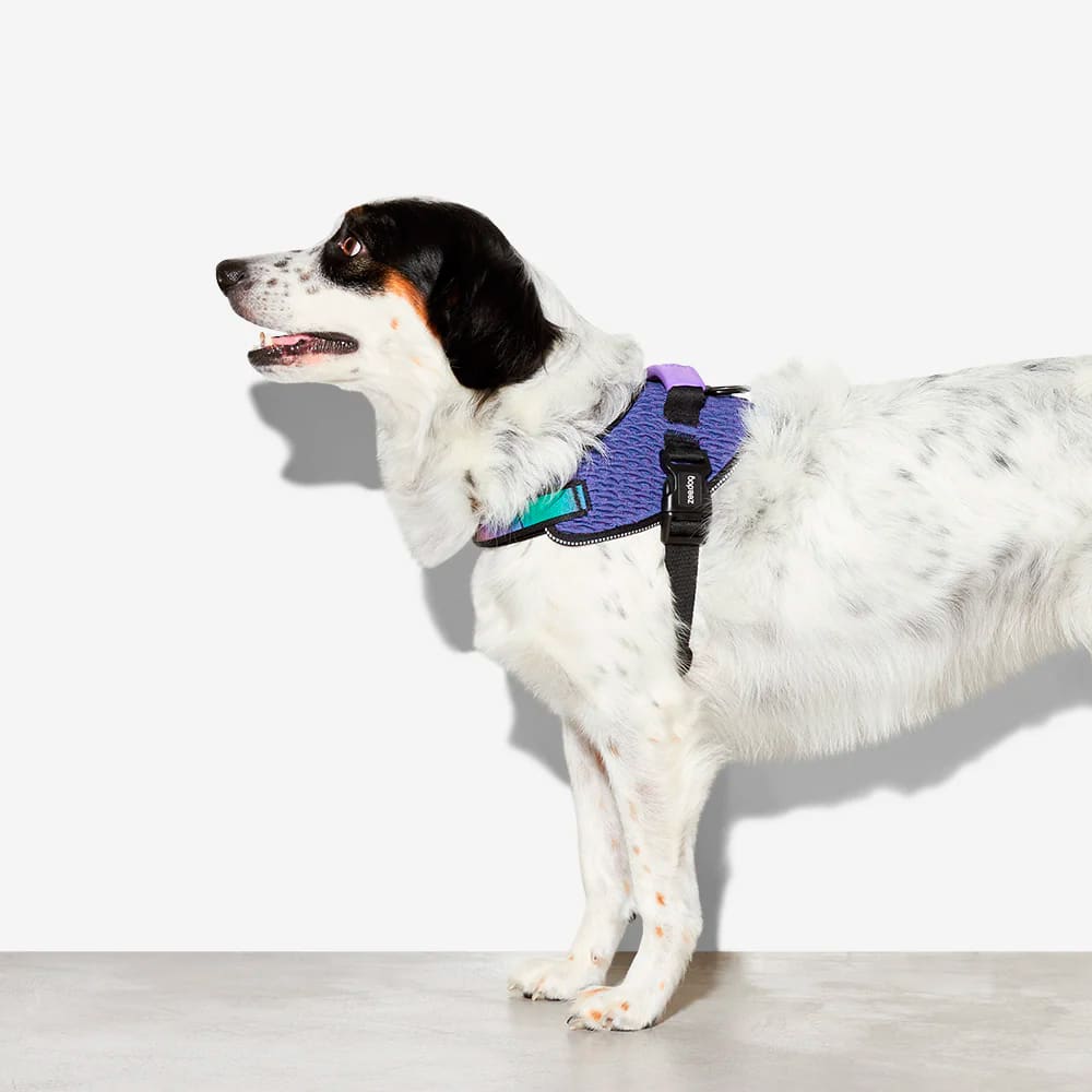 ZeeDog FlyHarness Wicked para perros2