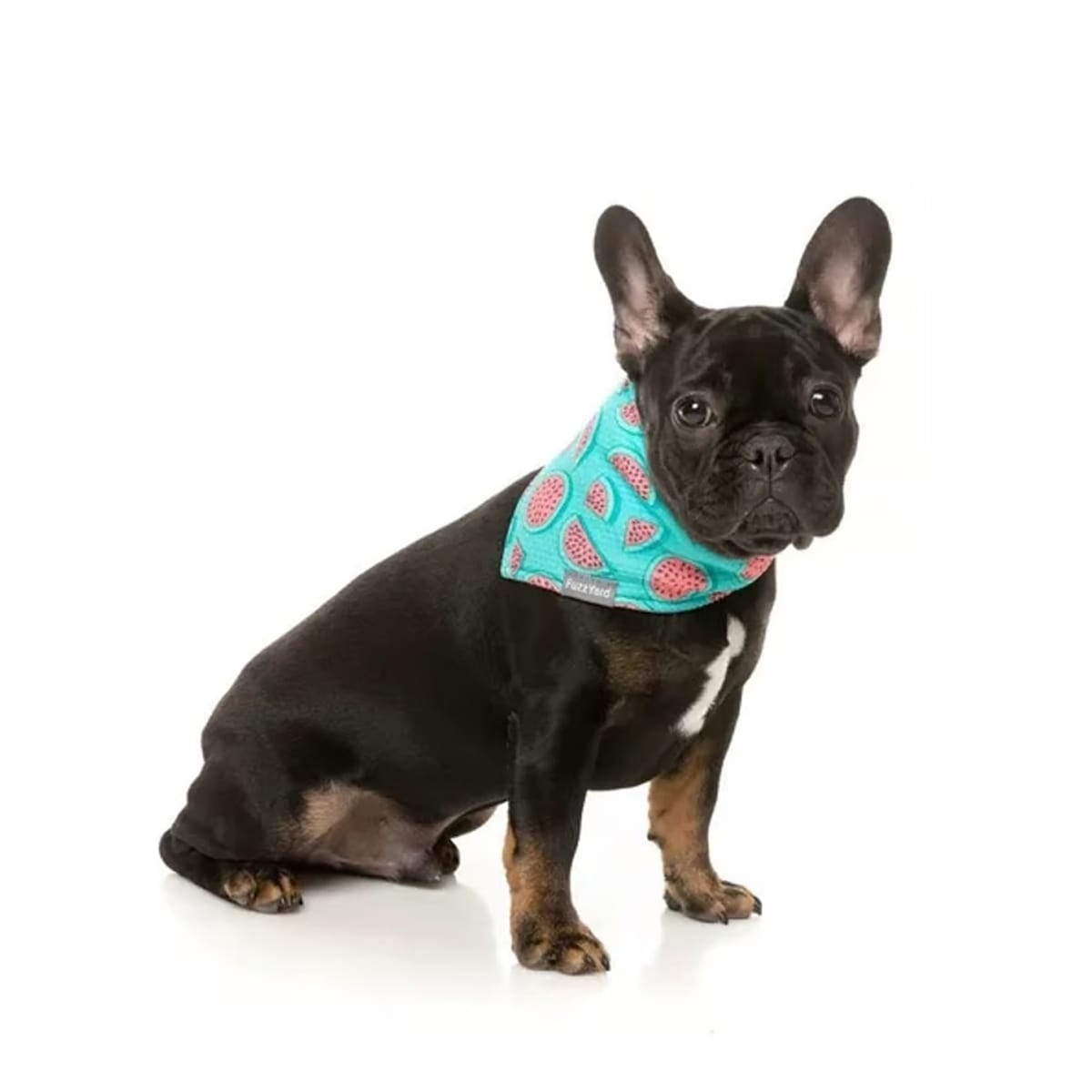 FuzzYard Bandana Summer Punch2