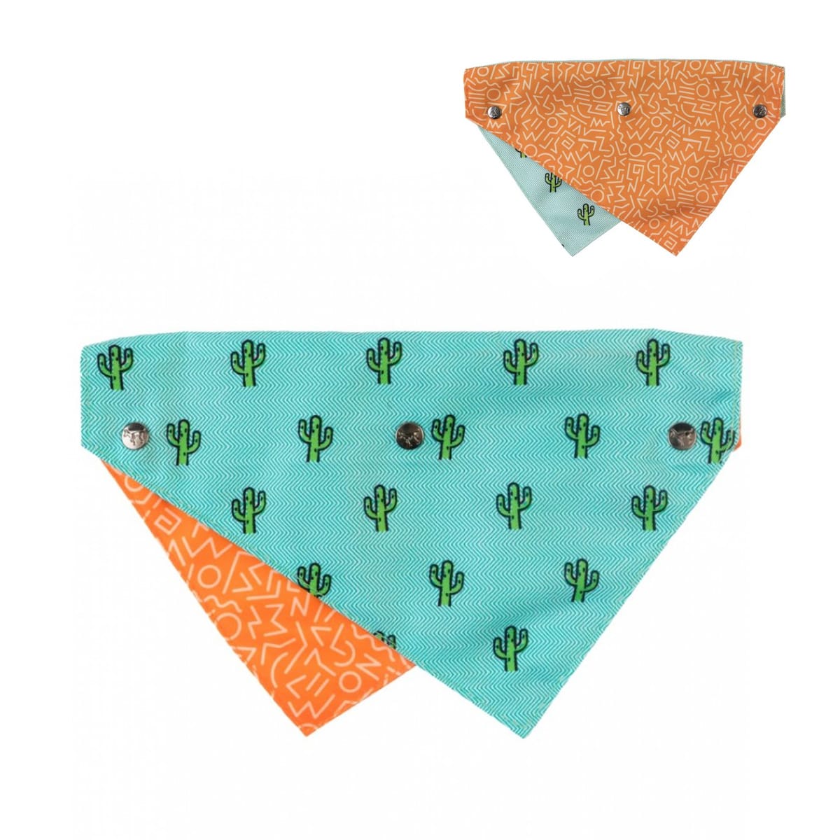 FuzzYard Bandana Tucson 1